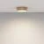 Потолочный светильник Ceiling Zon, LED 24W, 4000K, Матовое Золото (Maytoni Technical, C032CL-24W4K-RD-MG) - Amppa.ru