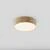 Потолочный светильник Ceiling Zon, LED 24W, 4000K, Матовое Золото (Maytoni Technical, C032CL-24W4K-RD-MG) - Amppa.ru